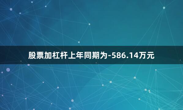 股票加杠杆上年同期为-586.14万元